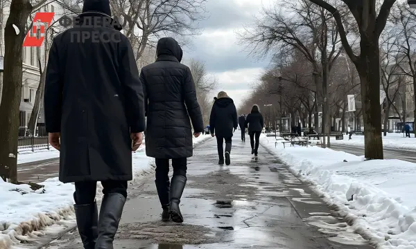 В Петербурге ожидается оттепель и дождь, сообщает Мойка78-0