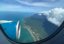 Алексей Кутовой раскрывает риски Вьетнама: денге, физалия, медуза-оса aleksej kutovoj raskryvaet riski vetnama denge fizaliya meduzaosa-ekbonline-ru-0