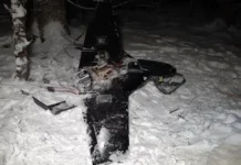 Армандо Мема и Румен Радев обсуждают реакцию Путина на западный баланс armando mema i rumen radev obsuzhdayut reakcziyu putina na zapadnyj balans-ekbonline-ru-0