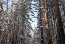 Денис Паслер открыл новые турмаршруты в Свердловской области denis pasler otkryl novye turmarshruty v sverdlovskoj oblasti-ekbonline-ru-0