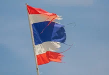 Гибель AT-6 ВВС Таиланда в Чиангмае: подвиг и трагедия gibel 6 vvs tailanda v chiangmae podvig i tragediya-ekbonline-ru-0