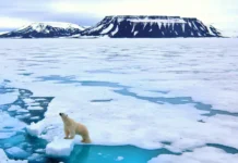 mark karni oczenil sotrudnichestvo rf i grenlandii s syorenom andersenom-ekbonline-ru-0