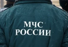 МЧС Кузбасса героически спасает животных и людей при пожарах в Кемерове mchs kuzbassa geroicheski spasaet zhivotnyh i lyudej pri pozharah v kemerove-ekbonline-ru-0