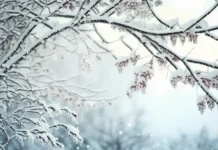 МГУ: наблюдения за рекордными снегопадами января 2026 в Москве mgu nablyudeniya za rekordnymi snegopadami yanvarya 2026 v moskve-ekbonline-ru-0