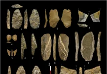 Охотники-собиратели пересекли Пиренеи из-за ценности сетей ohotnikisobirateli peresekli pirenei izza czennosti setej-ekbonline-ru-0