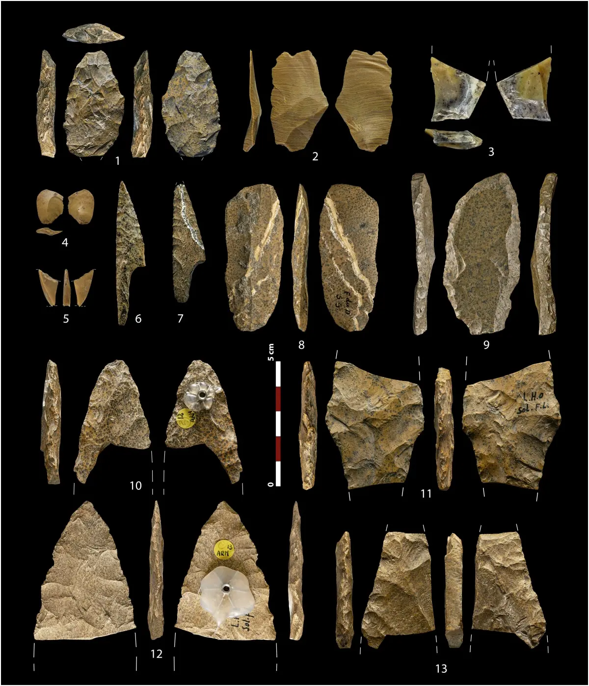 Охотники-собиратели пересекли Пиренеи из-за ценности сетей-0