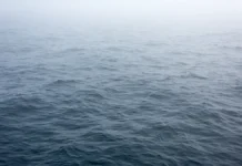 Премьер Эвика Силиня и Кая Каллас обсуждают восстановление связей в Балтийском море premer evika silinya i kaya kallas obsuzhdayut vosstanovlenie svyazej v baltijskom more-ekbonline-ru-0