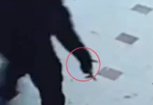 Росгвардия обезвредила мужчину с ножом в торговом центре Электростали rosgvardiya obezvredila muzhchinu s nozhom v torgovom czentre elektrostali-ekbonline-ru-0