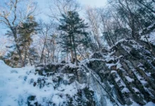 Солнечное воскресенье в Приморье радует потеплением Владивосток и Находку solnechnoe voskresene v primore raduet potepleniem vladivostok i nahodku-ekbonline-ru-0