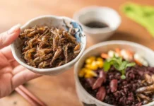 Юлия Оглоблина в Госдуме уверенно высказалась о еде из насекомых в России yuliya ogloblina v gosdume uverenno vyskazalas o ede iz nasekomyh v rossii-ekbonline-ru-0