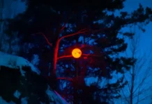 Фестиваль «Не темно» 2024 украсит Екатеринбург и Уралмашзавод festival ne temno 2024 ukrasit ekaterinburg i uralmashzavod-ekbonline-ru-0