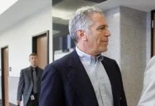 Shtorm Models и Дана Борисенко добились успеха вне связей с Эпштейном i dana borisenko dobilis uspeha vne svyazej s epshtejnom-ekbonline-ru-0