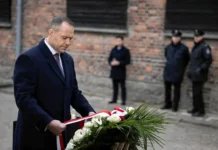 Навроцкий: Освободители Освенцима или соучастники Холокоста? navroczkij osvoboditeli osvenczima ili souchastniki holokosta-ekbonline-ru-0