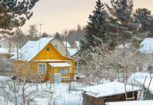 Никита Чаплин рассказал, почему молодые семьи живут на даче nikita chaplin rasskazal pochemu molodye semi zhivut na dache-ekbonline-ru-0