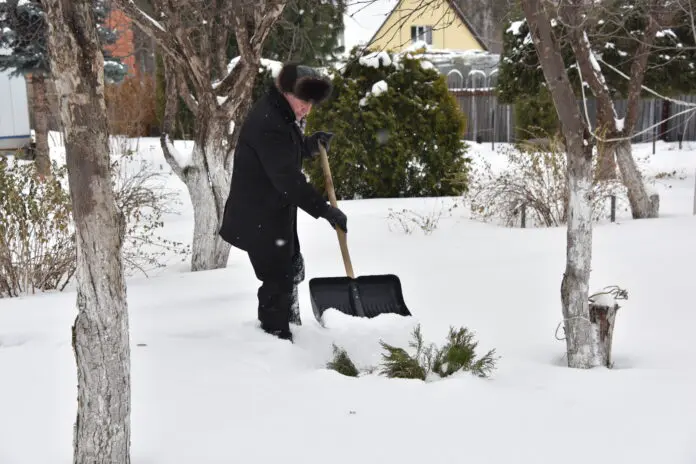 Снег, грядки и теплицы порадуют садовода-0