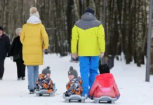 Совет Федерации и Госдума поддержали выплаты для многодетных семей sovet federaczii i gosduma podderzhali vyplaty dlya mnogodetnyh semej-ekbonline-ru-0