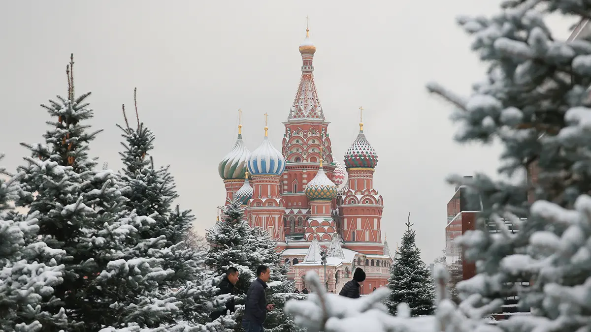Женщину, обещавшую устроить взрыв на Красной площади, приговорили к четырем годам