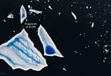 Айсберг A-23A, Suomi NPP, PACE помогают понять цветение фитопланктона ajsberg 23 pomogayut ponyat czvetenie fitoplanktona-ekbonline-ru-0