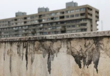 i roseko oczenivayut ugrozy ekologii regiona-ekbonline-ru-0