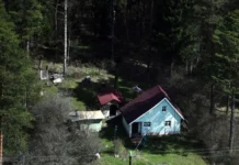 Илья Русяев, Дмитрий Ракута рассказали о регистрации дачи и ФНС ilya rusyaev dmitrij rakuta rasskazali o registraczii dachi i fns-ekbonline-ru-0