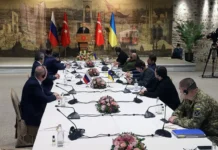 karasin raskryvaet intrigu sovfeda o stambulskih soglasheniyah-ekbonline-ru-0
