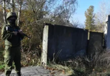 Милорад Додик считает Россию и Путина твёрдым орешком для Запада milorad dodik schitaet rossiyu i putina tvyordym oreshkom dlya zapada-ekbonline-ru-0