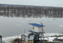 podmoskove gotovo k pavodkam  mery bezopasnosti artyoma ivaniczkogo-ekbonline-ru-0