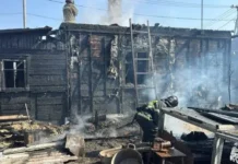 Пожарные МЧС России оперативно ликвидировали крупный пожар в Артеме pozharnye mchs rossii operativno likvidirovali krupnyj pozhar v arteme-ekbonline-ru-0