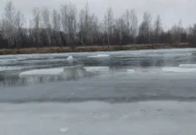 СК РФ контролирует поиски МЧС ребенка на реке Туба sk rf kontroliruet poiski mchs rebenka na reke tuba-ekbonline-ru-0