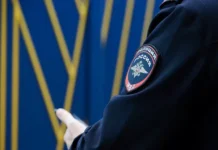 aktivnye poiski strelka nikity z vedutsya v smolenske-ekbonline-ru-0
