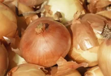 Алексей Койтов из Союза потребителей России объяснил детали покупки aleksej kojtov iz soyuza potrebitelej rossii obyasnil detali pokupki-ekbonline-ru-0