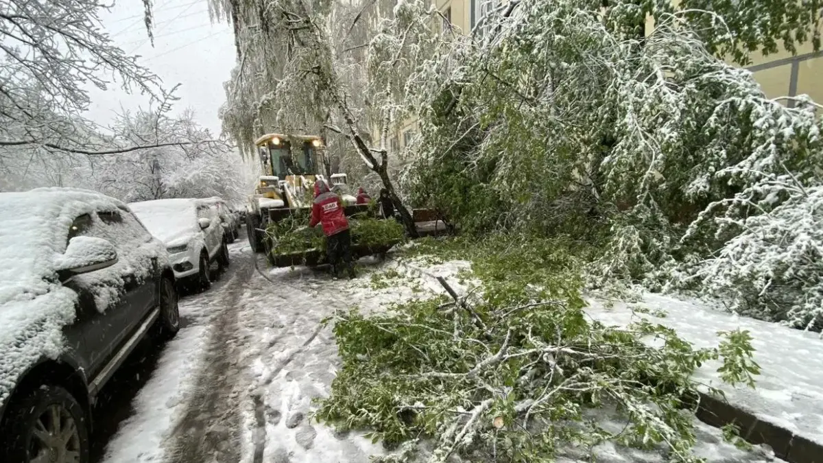 МЧС рассказало о последствиях циклона в Москве, Подмосковье и Самарской области