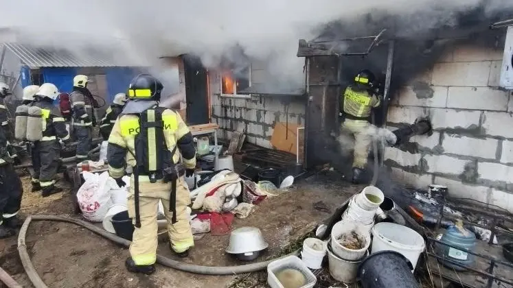 Около 200 чихуахуа погибли в пожаре в Нижегородской области 