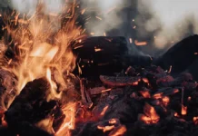 mchs ustanovilo shtrafy za szhiganie musora v lesah-ekbonline-ru-0