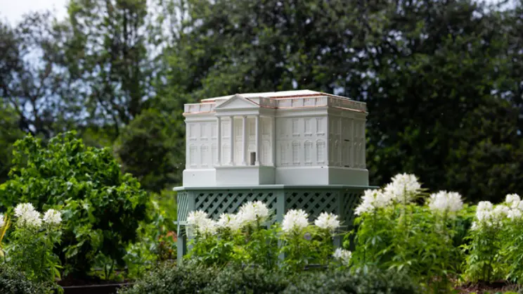 Мелания Трамп установила в Вашингтоне пчелиный улей в форме Белого дома