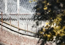 melnikov oczenil shansy sokolova na udo posle ubijstva-ekbonline-ru-0