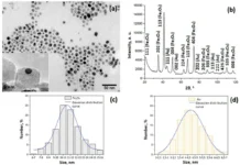 mgu imeni mv lomonosova sozdal nanochasticzy dlya terapii i diagnostiki-ekbonline-ru-0