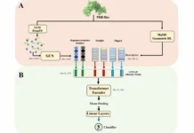 НИУ ВШЭ представил GSMFormer-PPI – нейросеть для точного предсказания белков niu vshe predstavil nejroset dlya tochnogo predskazaniya belkov-ekbonline-ru-0