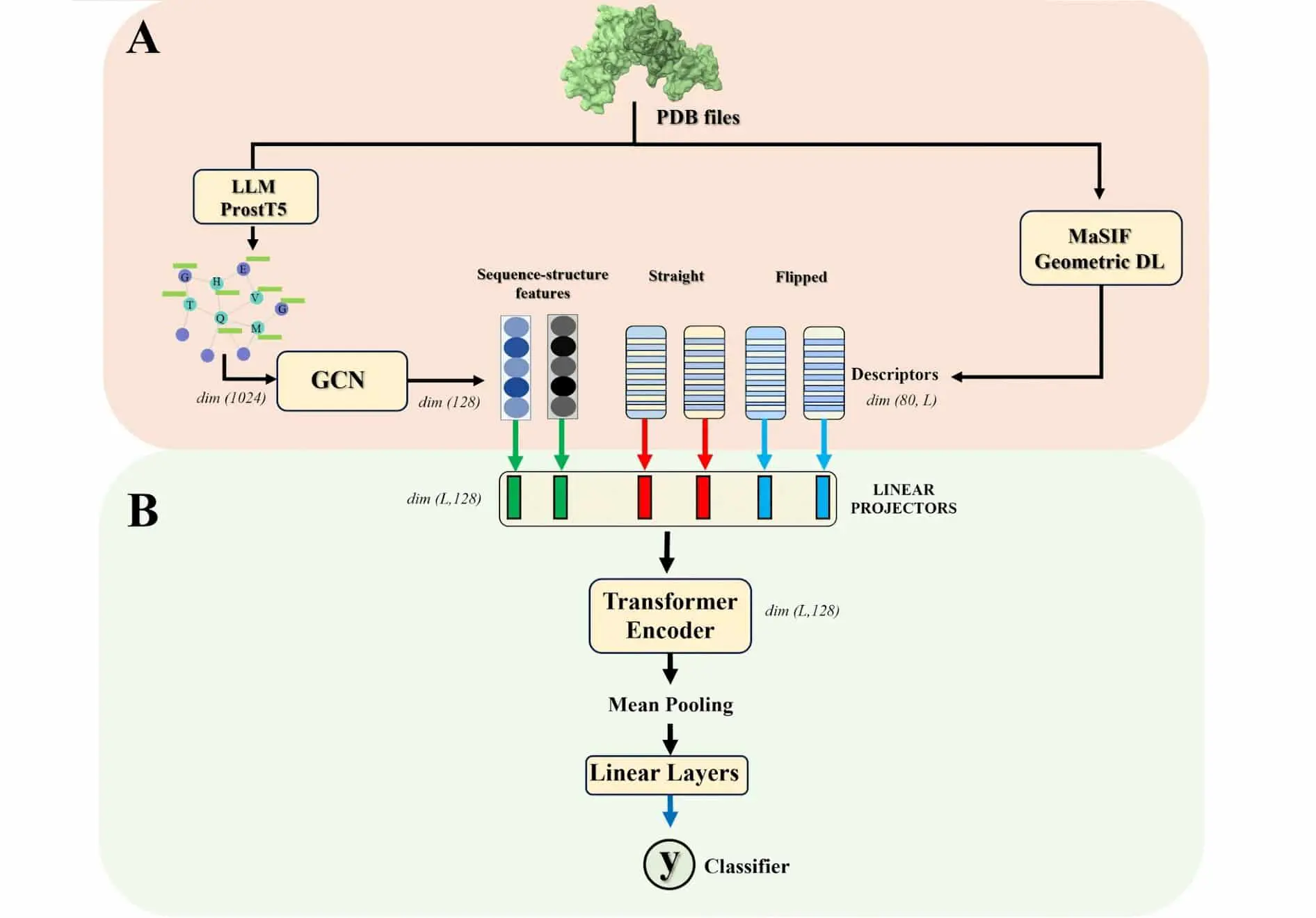 НИУ ВШЭ представил GSMFormer-PPI – нейросеть для точного предсказания белков-0