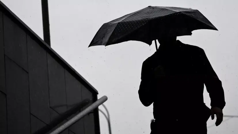 Синоптик Позднякова предупредила о дождях в Москве до мая