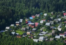 sofya svechnikova rasskazala o vygodah snt i sovetah advokata anufrieva-ekbonline-ru-0