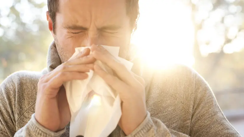 Россиянам назвали регионы, которые подойдут для аллергиков в период обострения