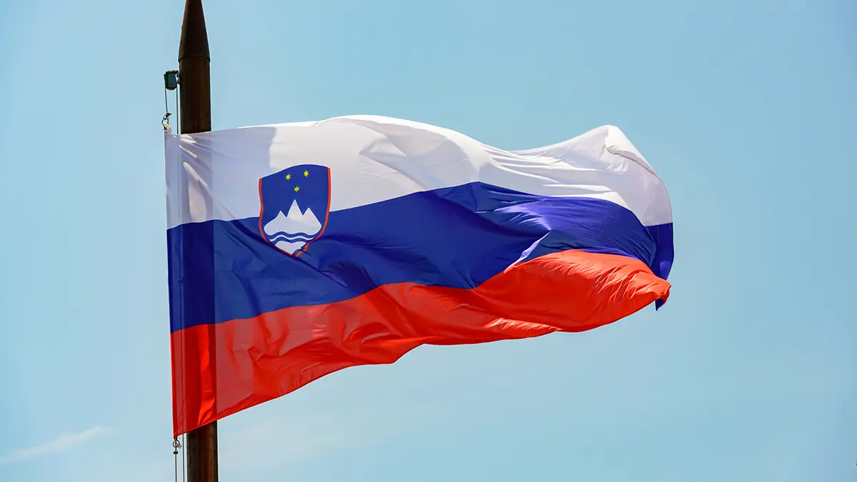 Спикер парламента Словении пообещал провести референдум о выходе страны из НАТО