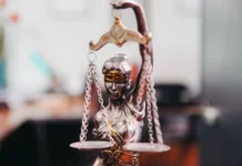 Браконьер в Приморье получил 3 года за 1900 трепангов brakoner v primore poluchil 3 goda za 1900 trepangov-ekbonline-ru-0