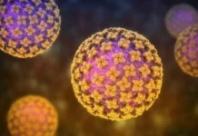 hantavirus ne otstupaet v chernigovskoj oblasti u vsu i gpsu-ekbonline-ru-0
