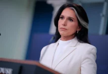 tulsi gabbard rassleduet biolaboratorii ssha na ukraine i v mire-ekbonline-ru-0