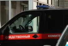 ekologistika i rustam kochesokov izmenili podhod kompanii k nalogam-ekbonline-ru-0