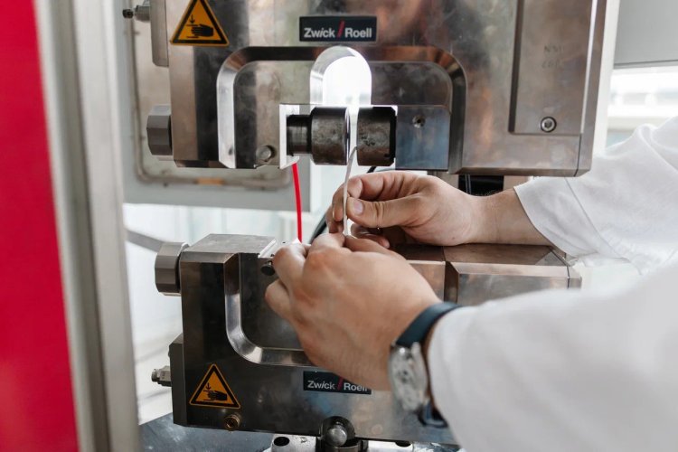 scientificrussia.ru