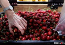 Лут, Коровин и Минсельхоз представили новые данные о черешневом урожае lut korovin i minselhoz predstavili novye dannye o chereshnevom urozhae-infovzor-ru-174953429500-0