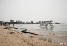 Оптимизм туристов в Анапе и у Черного моря несмотря на сезонные трудности optimizm turistov v anape i u chernogo morya nesmotrya na sezonnye trudnosti-infovzor-ru-174955204500-0